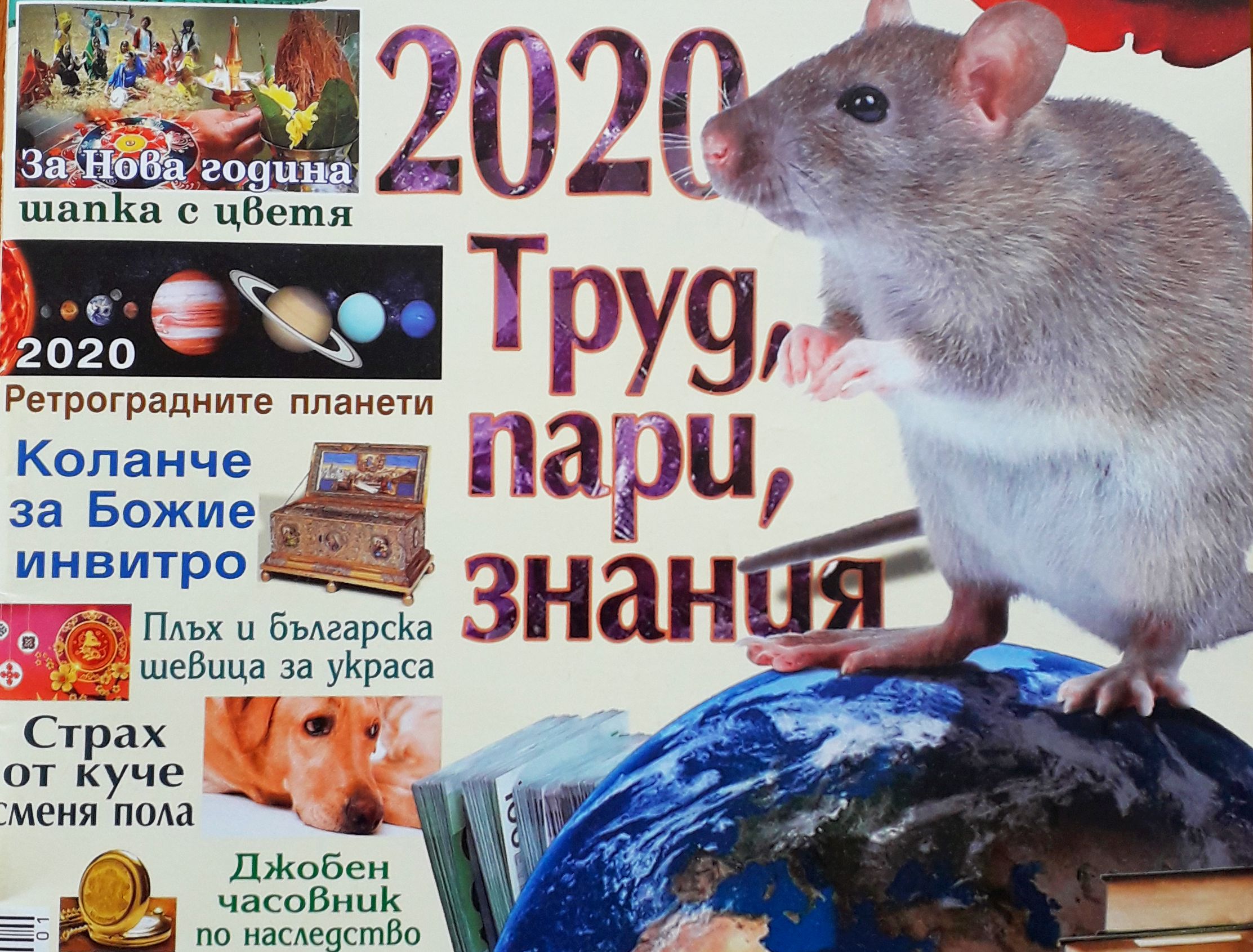 2020-а – труд, пари, знания