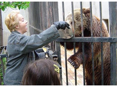 Мечокът Антоний от Софийският зоопарк навърши 6 години