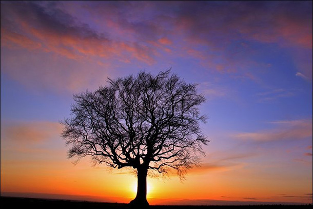 Всичко е Карма